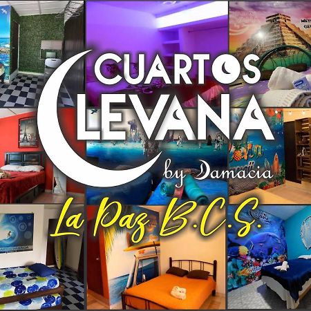 Cuartos Levana La Paz Apartment Bagian luar foto